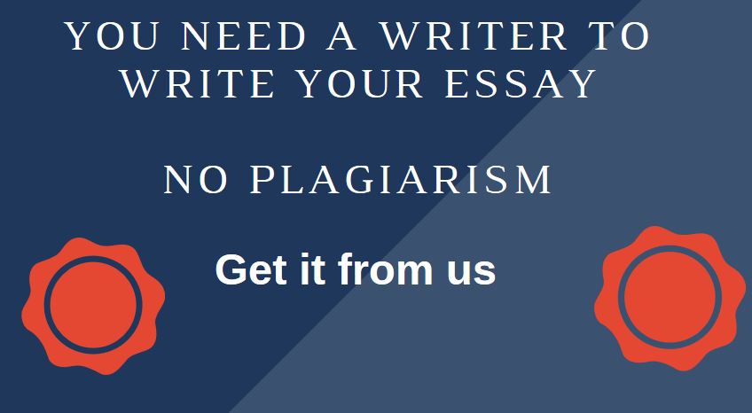 Essay typer no plagiarism