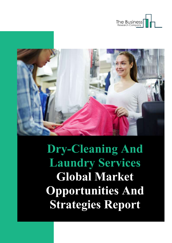 Strategic management paper financial analysis dry cleaners