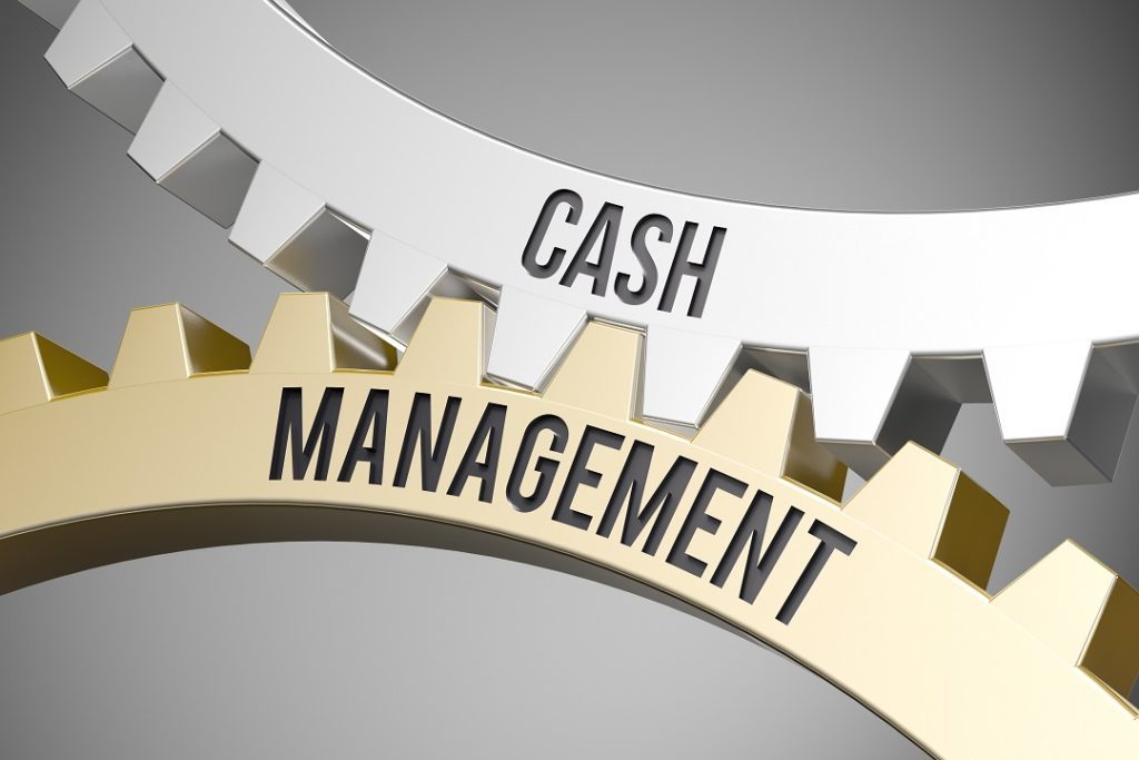 What are the concerns in cash management and how do cash management iss help financial managers