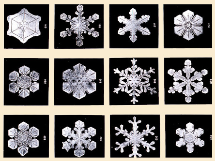How a snowflake is formed Essay